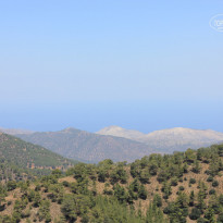 фото из отзыва ID 1381707