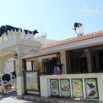 фото из отзыва ID 1381707