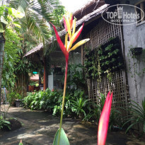 фото из отзыва ID 1381726