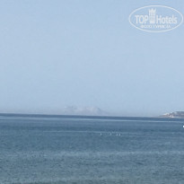 фото из отзыва ID 1381442