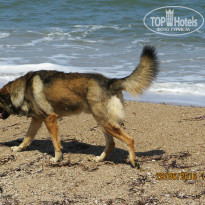 фото из отзыва ID 1381664