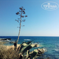 фото из отзыва ID 1381950