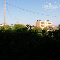 фото из отзыва ID 1381986