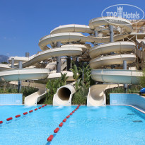 фото из отзыва ID 1382129