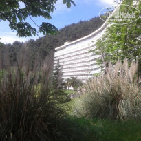 фото из отзыва ID 1382137