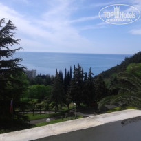 фото из отзыва ID 1382137