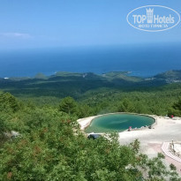 фото из отзыва ID 1382177