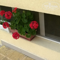 фото из отзыва ID 1382200