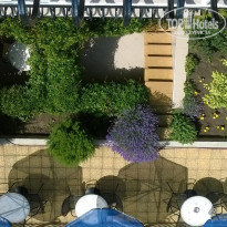 фото из отзыва ID 1382200