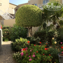 фото из отзыва ID 1382324