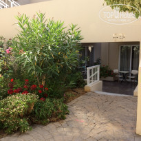 фото из отзыва ID 1382324