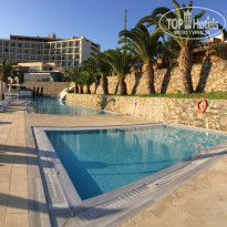 фото из отзыва ID 1382355