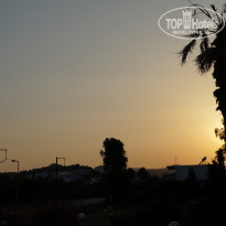 фото из отзыва ID 1382377