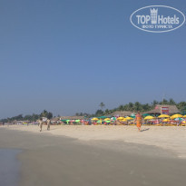 фото из отзыва ID 1382393