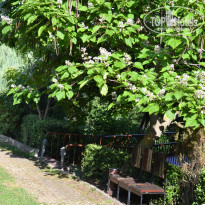 фото из отзыва ID 1382414