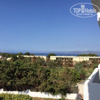 фото из отзыва ID 1382441