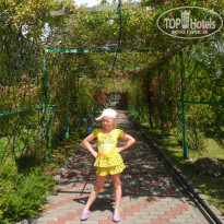 фото из отзыва ID 1382493