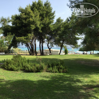 фото из отзыва ID 1382560