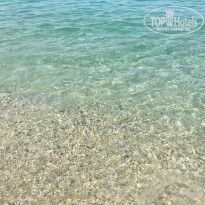 фото из отзыва ID 1382560