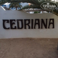 фото из отзыва ID 1382639