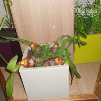 фото из отзыва ID 1382648