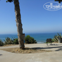 фото из отзыва ID 1382648