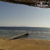 фото из отзыва ID 1382668