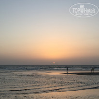 фото из отзыва ID 1382746