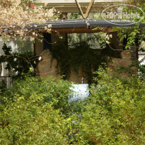 фото из отзыва ID 1385075