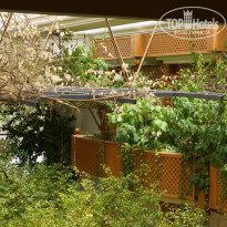 фото из отзыва ID 1385075