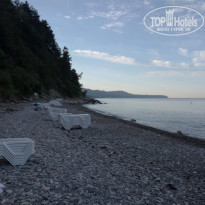 фото из отзыва ID 1382763