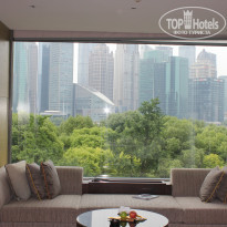 фото из отзыва ID 1382785