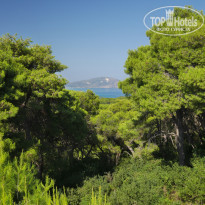 фото из отзыва ID 1382881