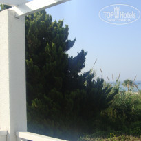 фото из отзыва ID 1382898