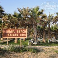 фото из отзыва ID 1382916