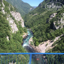 фото из отзыва ID 1382917