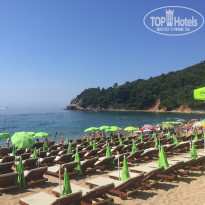 фото из отзыва ID 1382917