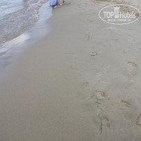 фото из отзыва ID 1382935