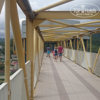 фото из отзыва ID 1382966