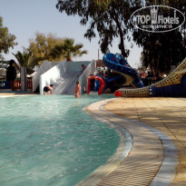 фото из отзыва ID 1383118