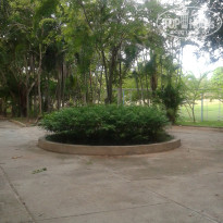 фото из отзыва ID 1383485