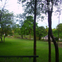 фото из отзыва ID 1383485