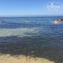 фото из отзыва ID 1383205