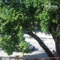 фото из отзыва ID 1383748