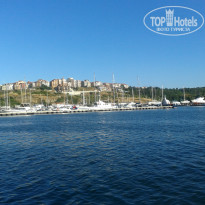 фото из отзыва ID 1383765