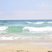 фото из отзыва ID 1382889