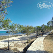 фото из отзыва ID 1382889