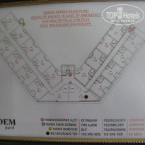 фото из отзыва ID 1383804