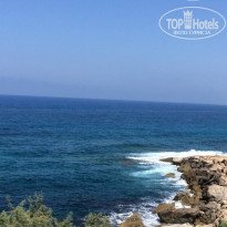 фото из отзыва ID 1382823