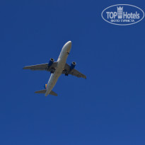 фото из отзыва ID 1383895